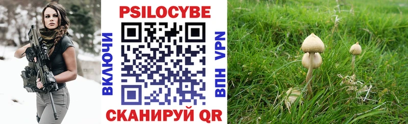 Псилоцибиновые грибы прущие грибы  купить наркоту  Юрга 